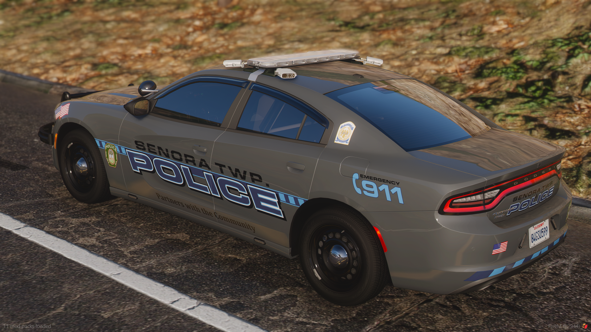Cenator 2018 Dodge Charger