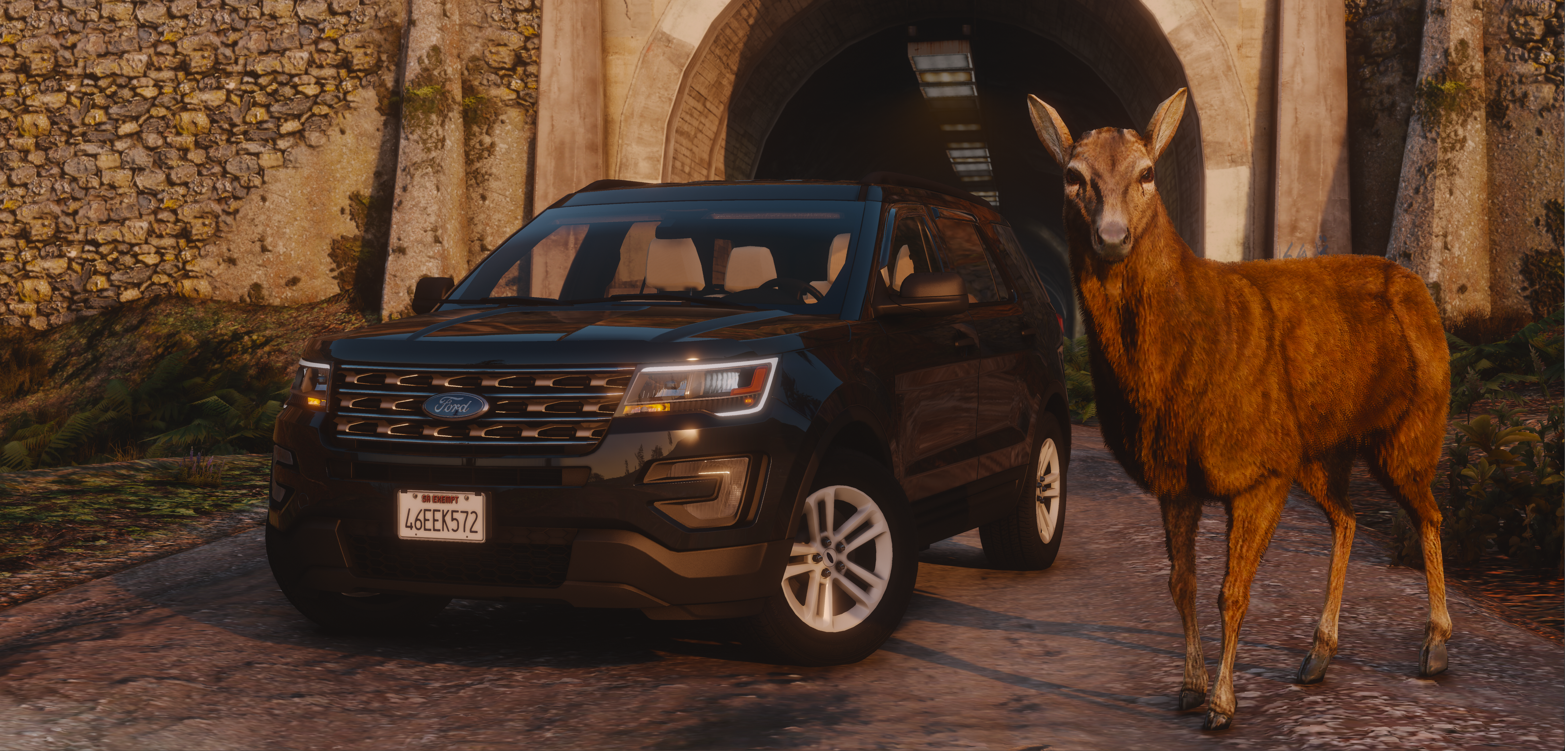 Gang Unit 2016 Ford Explorer XLT